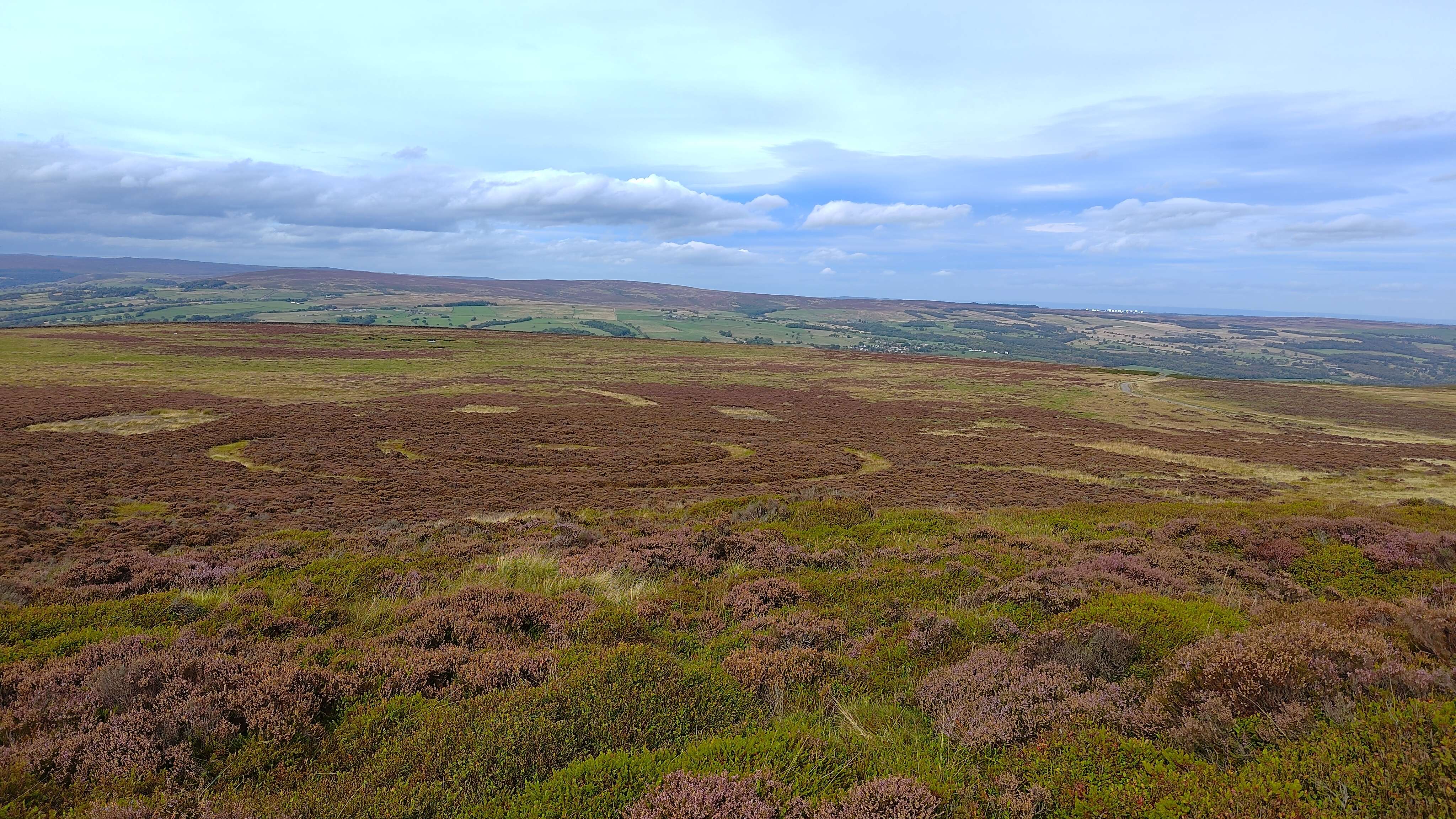 A picture of a view over a moor, with heather and bracken. In the middle of the picture there is a crop circle cut out of the heather.