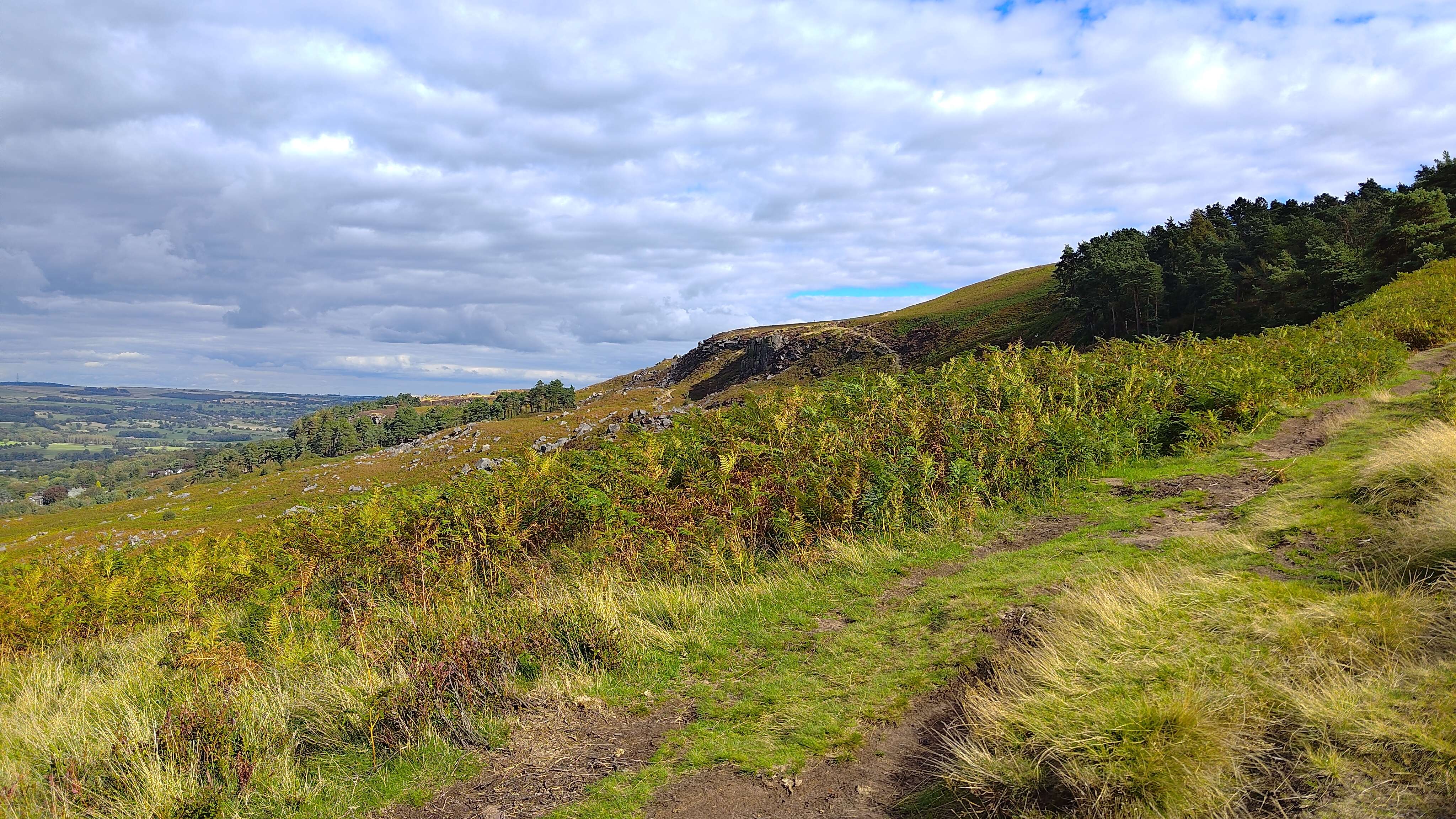 A photo corresponding to the notebook sketch of a landscape on the moor.